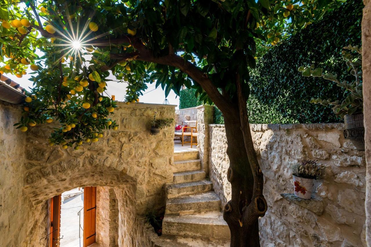 Villa Kanada Brsečine المظهر الخارجي الصورة